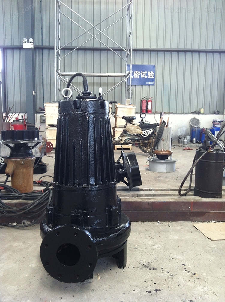 自动泵、电动泵、不锈钢泵AS55-2CB的型号