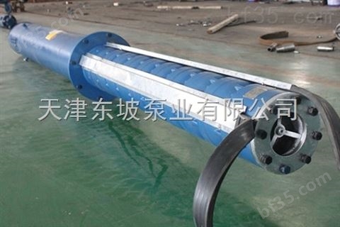 天津大流量轴流潜水泵
