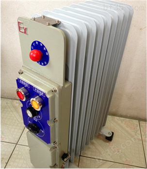 BDR51-2KW防爆油汀电暖器