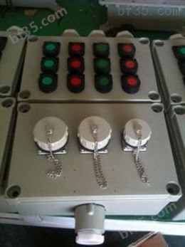 BXD51双电源防爆动力配电箱