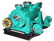 ZPDG150-30*9 自平衡多级锅炉给水泵