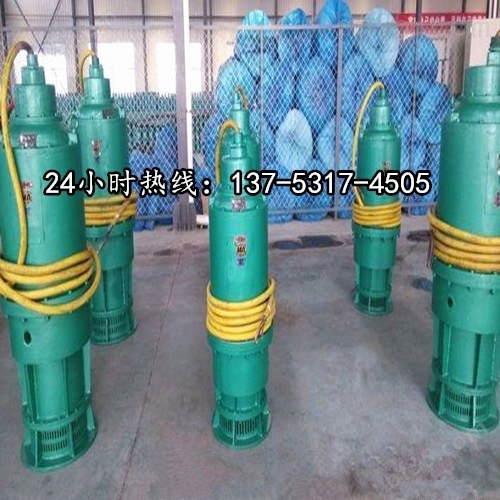 潜水泥沙泵BQS60-30-15/N排砂泵鹤壁配件维修电话