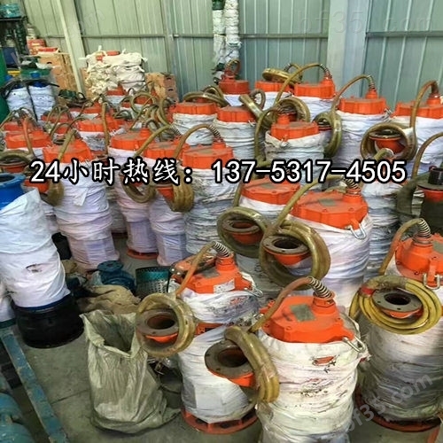 潜水排沙泵原理-用途BQS120-50-30/N济南图片
