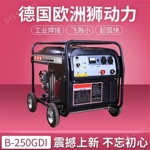 250A汽油发电电焊机_自发电燃油一体焊接机