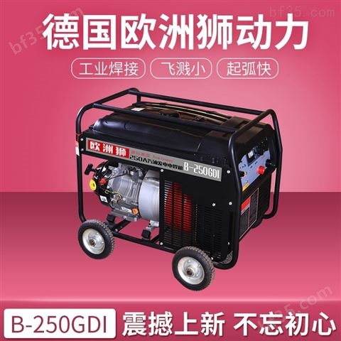 250A汽油发电电焊机厂家价格