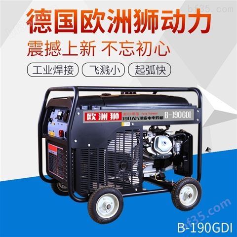 190A汽油发电电焊机价格及技术案例