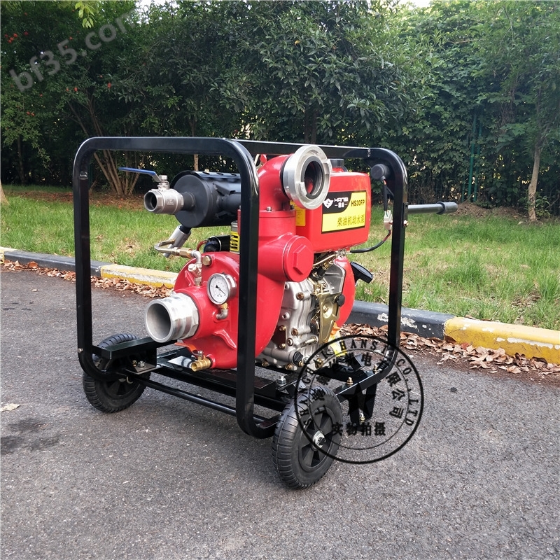 HS30FP3寸柴油机消防泵多少钱