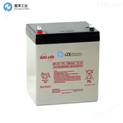 DATA-SAFE蓄电池NPX-25 12V