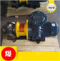 YCB20/0.6-磁力驱动齿轮泵 不锈钢磁力泵 防泄漏泵